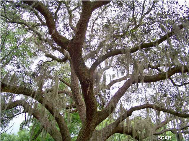 Bennett & Goodgame - Residential