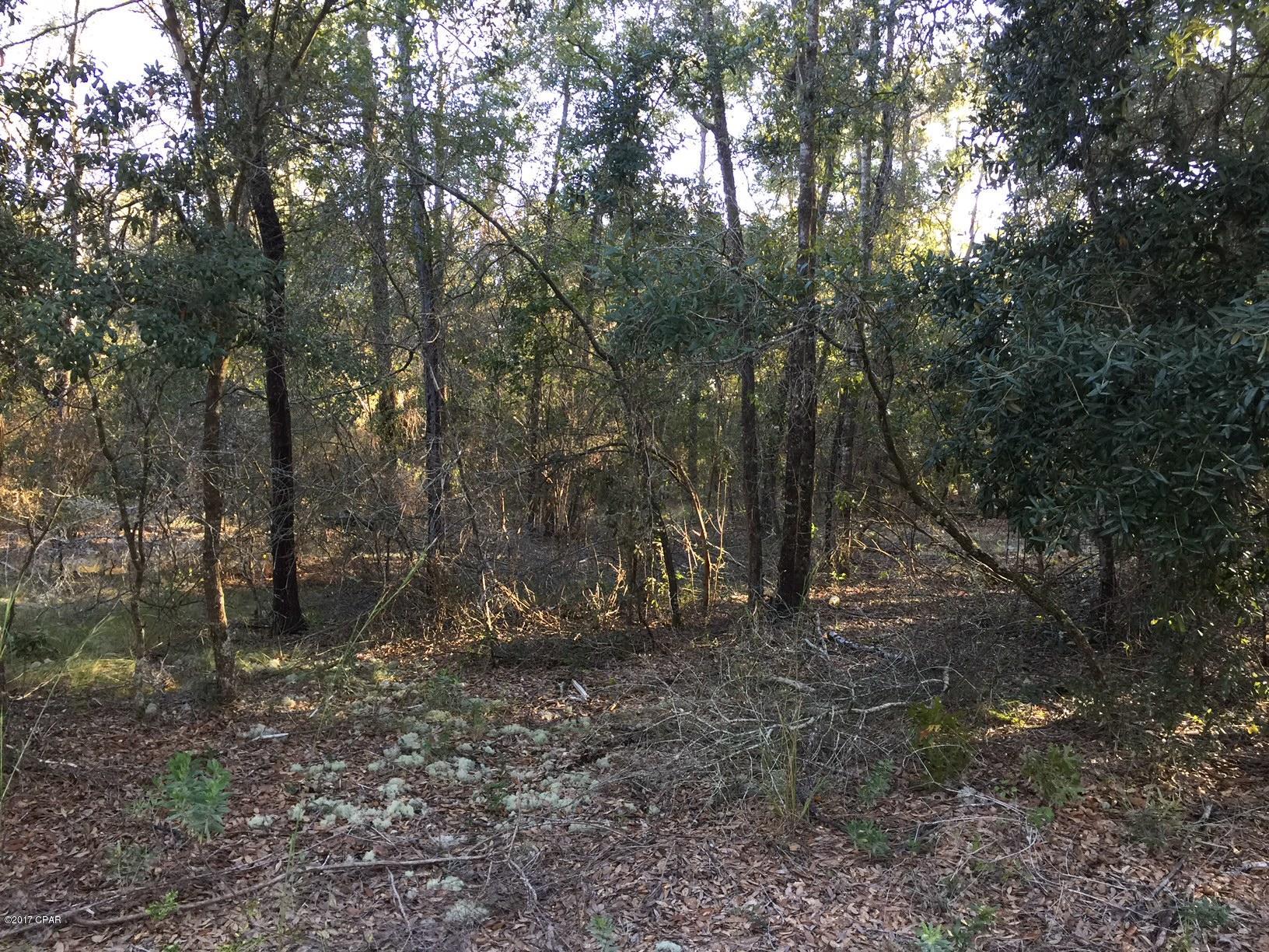 Leisure Lakes - Land