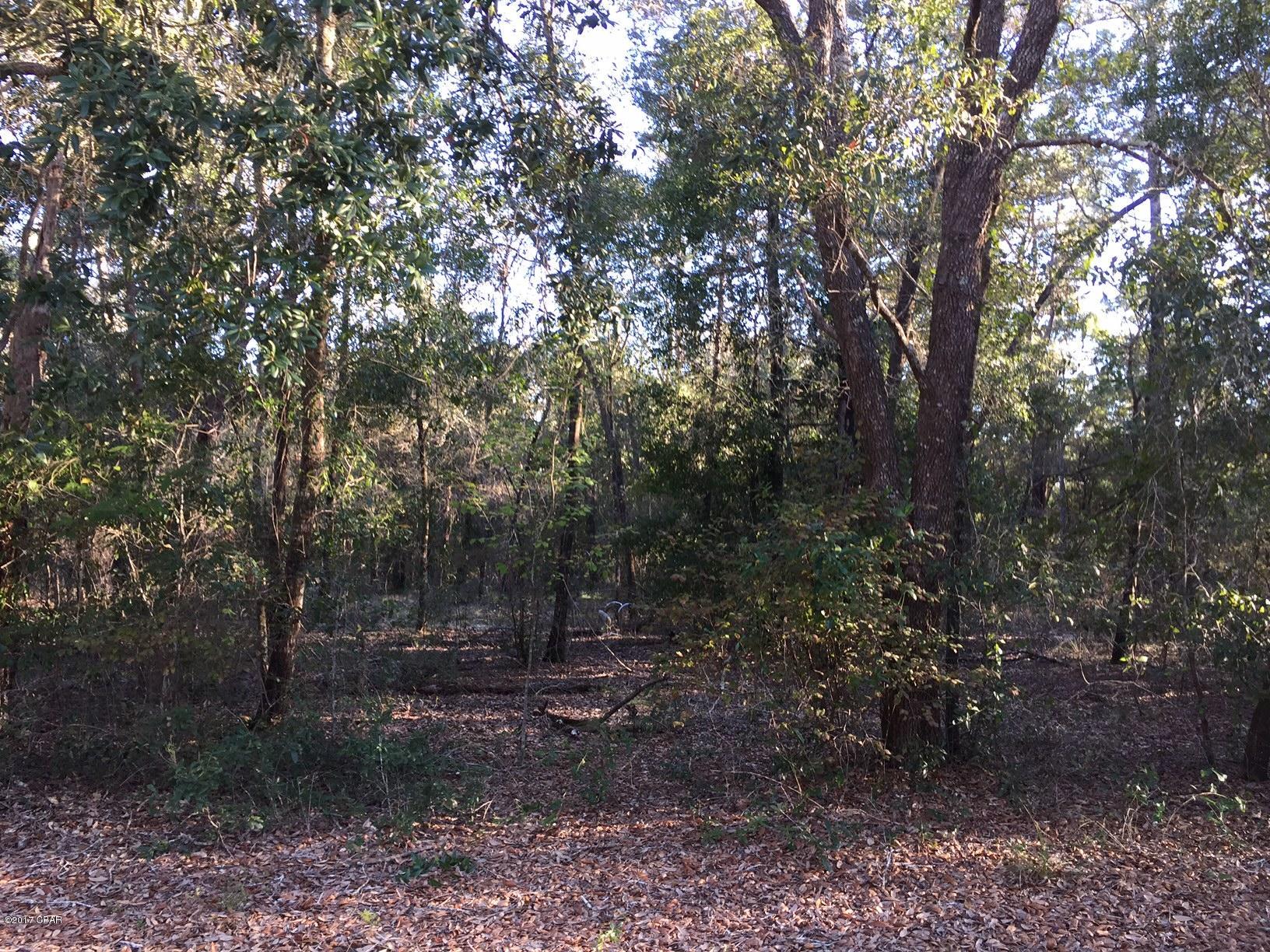 Leisure Lakes - Land