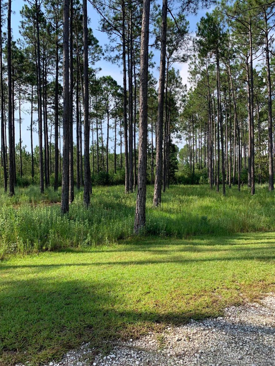 This beautiful Rivercamps 1 acre home site is near the end of a cul de sac street with conservation land (no lot) next to or behind. Come see now for the privacy you've been looking for. The community is located 5 mins from the Panama City Beach airport, 2 mins to boating/fishing and 10 minutes to the beach. The community has 1500 gated acres with a boat launch on crooked creek that leads to the Gulf of Mexico. Amenities include a Riverhouse with a catering kitchen, dining area and library. The waterfront pool area complete with grills for cooking out and a screened room is perfect for gatherings. Boat slips, 600 foot pier, a fitness center with bay views along with bikes, kayaks, paddle boards and camp ground for owner's and guest use make this a one of a kind community.
