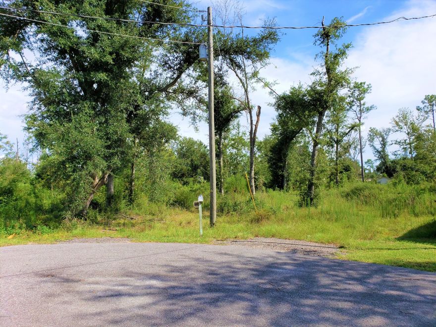 Looking for over an acre of land to build your new home or set up your new mobile/manufactured home? Then check out this GREAT, high and dry lot at the end of the cul de sac in Bear Creek. Bear Creek is just 15 minutes outside the city. There was a mobile home on this property that was hooked up to Well and Septic prior to hurricane Michael. No guarantees or warranties on well or septic. Buyer should have appropriate professionals inspect condition. Call your Realtor today for more information and Bring us an offer.