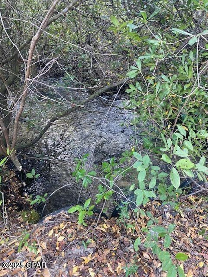 LAND!!!  153 Acres with 40 of that in Long Leaf Pines planted in 2009 and 60 acres planted in 2014.  Balance of land in Hardwoods and wet area with a spring fed creed running on the property.  Has over 1200 feet of frontage on a paved road and is partially fenced.  Would make a great hunting retreat.  The Tree stands do not convey with property the owner will take them down.