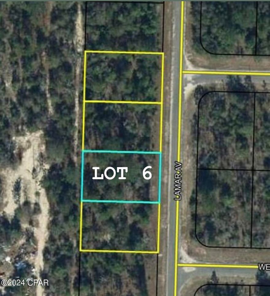 Nestled in the popular subdivision of Sunny Hills, this beautiful wooded lot is the perfect location for your future dream home. Enjoy the nearby amenities, including the Sunny Hills Golf Course and Boat Lake, all with no HOA restrictions. Please note, mobile homes are not permitted in this area, ensuring a high standard of homes throughout the community. Located just a short 45-minute drive from Panama City Beach, famous for the ''World's Most Beautiful Beaches,'' this property offers both tranquility and accessibility. Whether you're looking to build a primary residence or a weekend getaway, this lot is the ideal choice. Also available are three neighboring lots (MLS # 762458, 762461, 762463), offering nearly an acre of combined space—perfect for expanding your future plans!