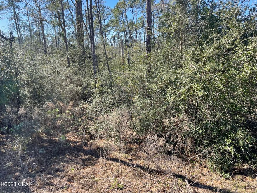 This a one acre parcel in Compass Lake in the Hills.  Wooded lot, with part of the lot a little low.  Property fronts a county graded road.  There is a voluntary HOA with a low yearly fee. With that fee you get usage of the pool at the Lodge, discount on room rental rates at the cabins and more. Fish, swim, boat on the famous Compass Lake. Pristine Lake McCormick doesn't allow gasoline motors but has excellent fishing ans swimming. Close enough Panama City Fl and Beaches an hour away.