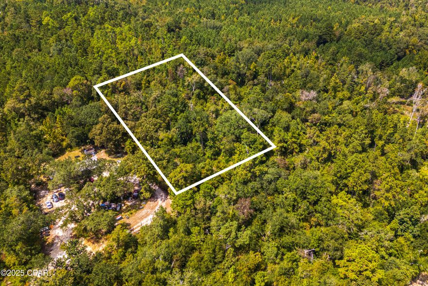 Welcome to 2.95 ACRES OF BUILDABLE LAND on Syracuse Ln in Marianna, FL, offering ROAD FRONTAGE on a quiet dirt road for both privacy and accessibility. There is ELECTRIC NEARBY (NOT CONNECTED), and a WELL AND SEPTIC WILL BE REQUIRED, giving you a true blank canvas for your vision. This property is NOT IN A FLOOD ZONE, has NO HOA/POA RESTRICTIONS, and a SURVEY IS AVAILABLE, making it ready for development. The SELLER IS MOTIVATED, OPEN TO OFFERS, AND PROVIDING SELLER FINANCING, creating a rare and affordable opportunity for buyers seeking land to build, invest, or create a private retreat. Just minutes from US HWY 90 and downtown Marianna, you'll enjoy quick access to shopping and essentials, plus nearby attractions like FLORIDA CAVERNS STATE PARK, HINSON CONSERVATION & RECREATION AREA, and local favorites such as BISTRO PALMS, EL RIO MEXICAN, and MADISON'S WAREHOUSE STEAKHOUSE. Don't miss this chance to secure A VERSATILE PIECE OF JACKSON COUNTY LAND WITH BIG POTENTIAL!