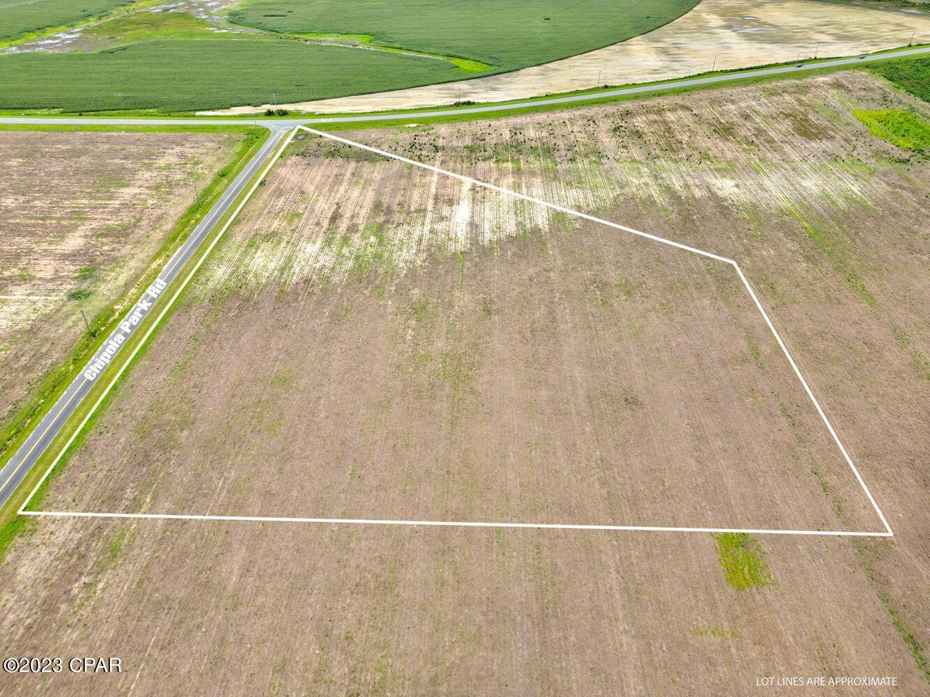 Chipola River Estates - Land