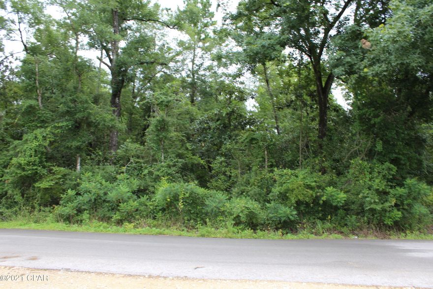 Pretty wooded lot within the city limits of Vernon.  Appears the lot slopes at the back but with plenty of room for your home whether it be a manufactured or stick built-no restrictions there.  Water and Sewer are available from the City with a tap on fee of approximately $2132.  No campers or RV as a permanent structure but permitted for 6 months while your home is under construction per the City of Vernon.  Go take a look, we won't mind.