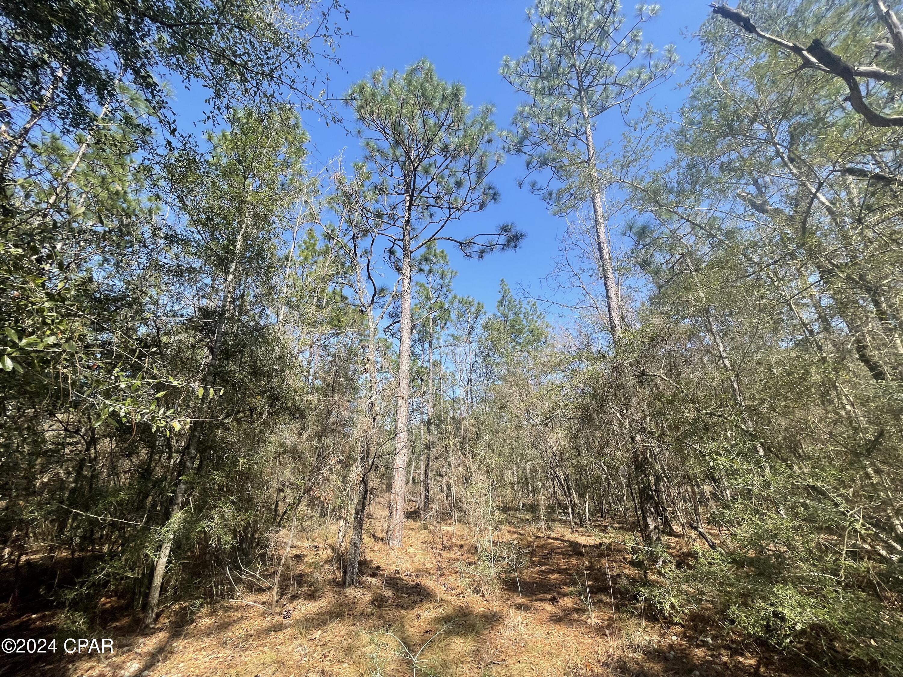 [No Recorded Subdiv] - Land