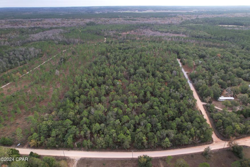Beautiful 8.79 acres of high and dry pristine wooded land excellent for deer and other types of hunting and wildlife lovers. Build your dream home or set up a manufactured home for easy country living. Property also includes a well maintained raised storage shed previously used as a hunting camp. Not in a flood zone. Behind this parcel sits over 1,200 acres of Northwest Florida state lands that offers canoe, kayak, and small boat launch. This property is an ideal retreat of peace and solitude with endless possibilities. Located on a maintained country road with easy access to Hwy 79, I-10, Hwy 90, less than 45 minutes to the beautiful emerald coast Panama City beaches and 1 hour to Dothan.
Call today!