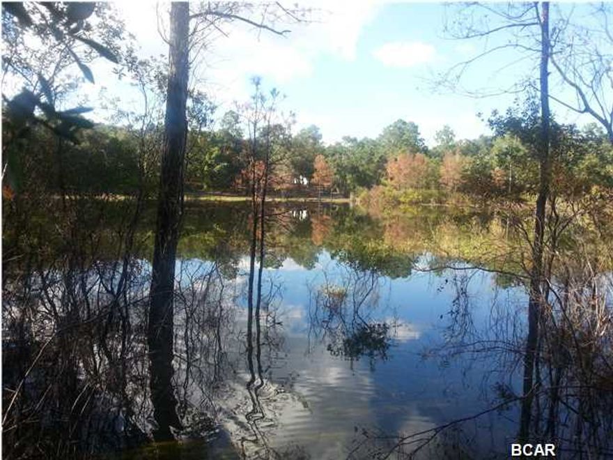 Beautiful wooded lot on a nice big pond with homes built in the area and a nice boat ramp close by that allows usage of Lucas Lake, a large deep spring-fed lake. Property gently slopes down to the waters edge with beautiful mature trees. Land needs clearing to build your dream home but that is the beauty of this land you can leave as many trees as you like. There is a large cleared pathway that leads around the property line down to the water, lots of deer tracks on the property and fish were jumping as I walked down to photograph the pond. Be sure and visit this property I am sure you will be able to envision your new home on this gorgeous water front land.