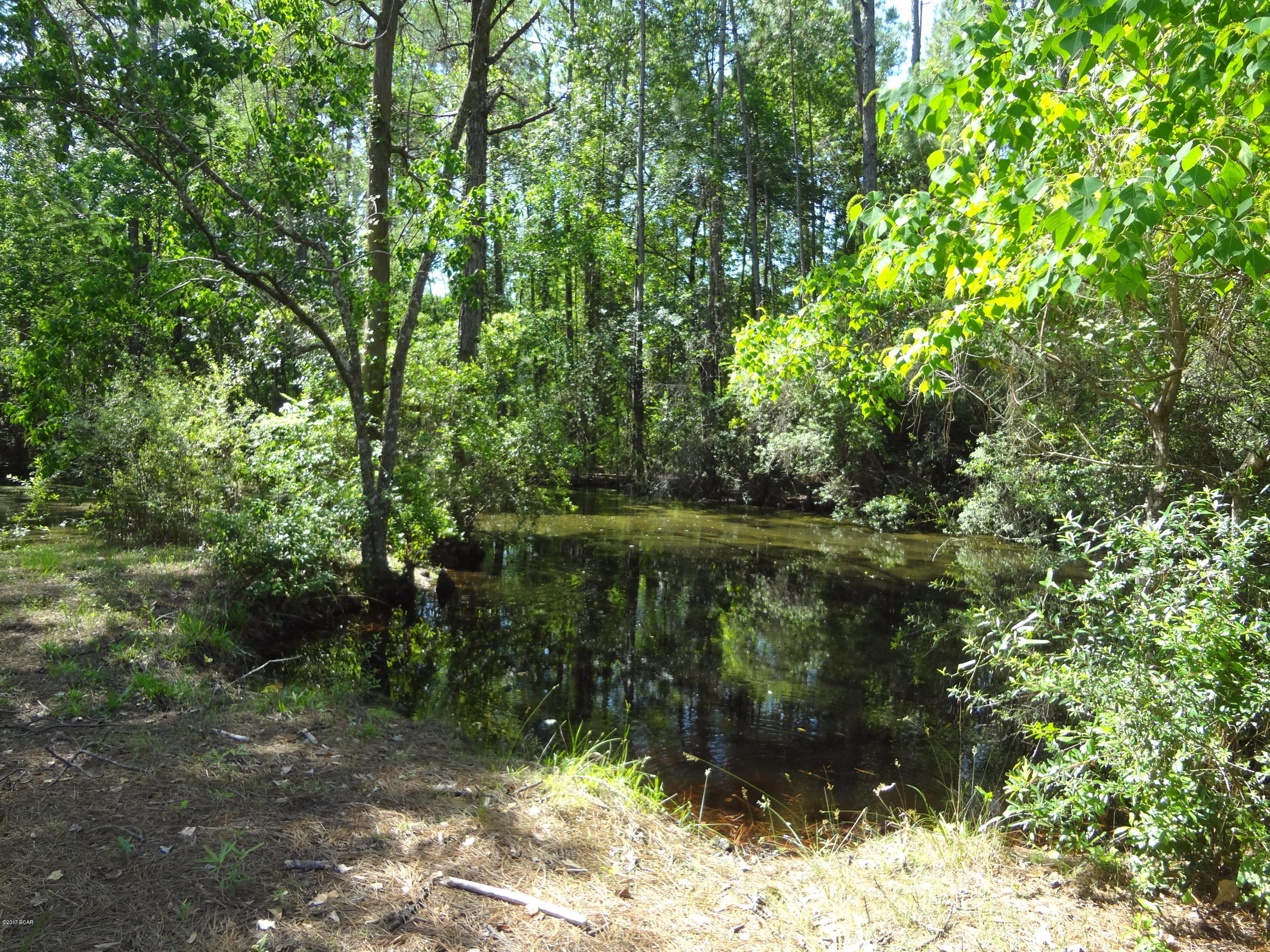 College Point Est 1st Sec - Residential