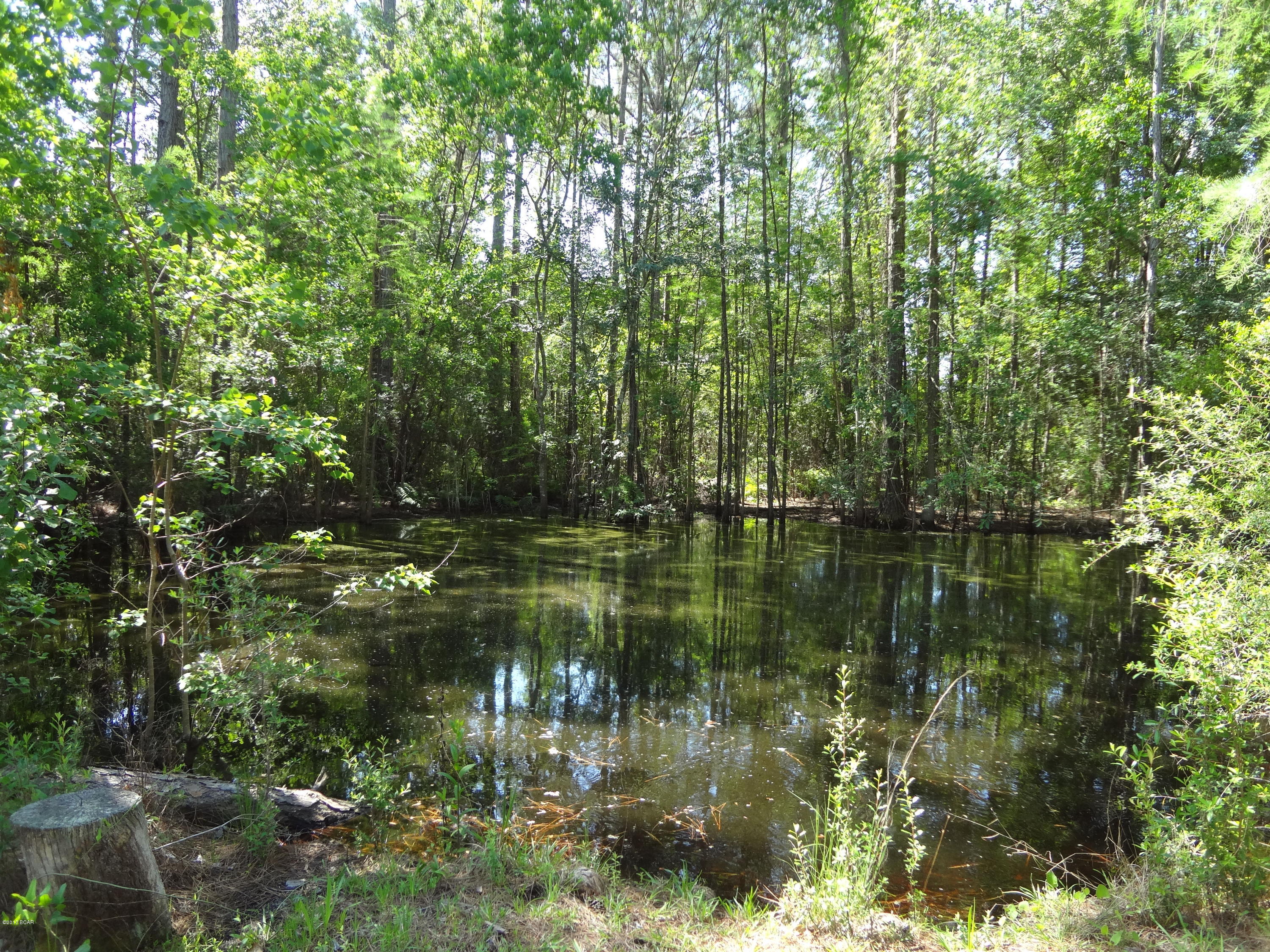 College Point Est 1st Sec - Residential