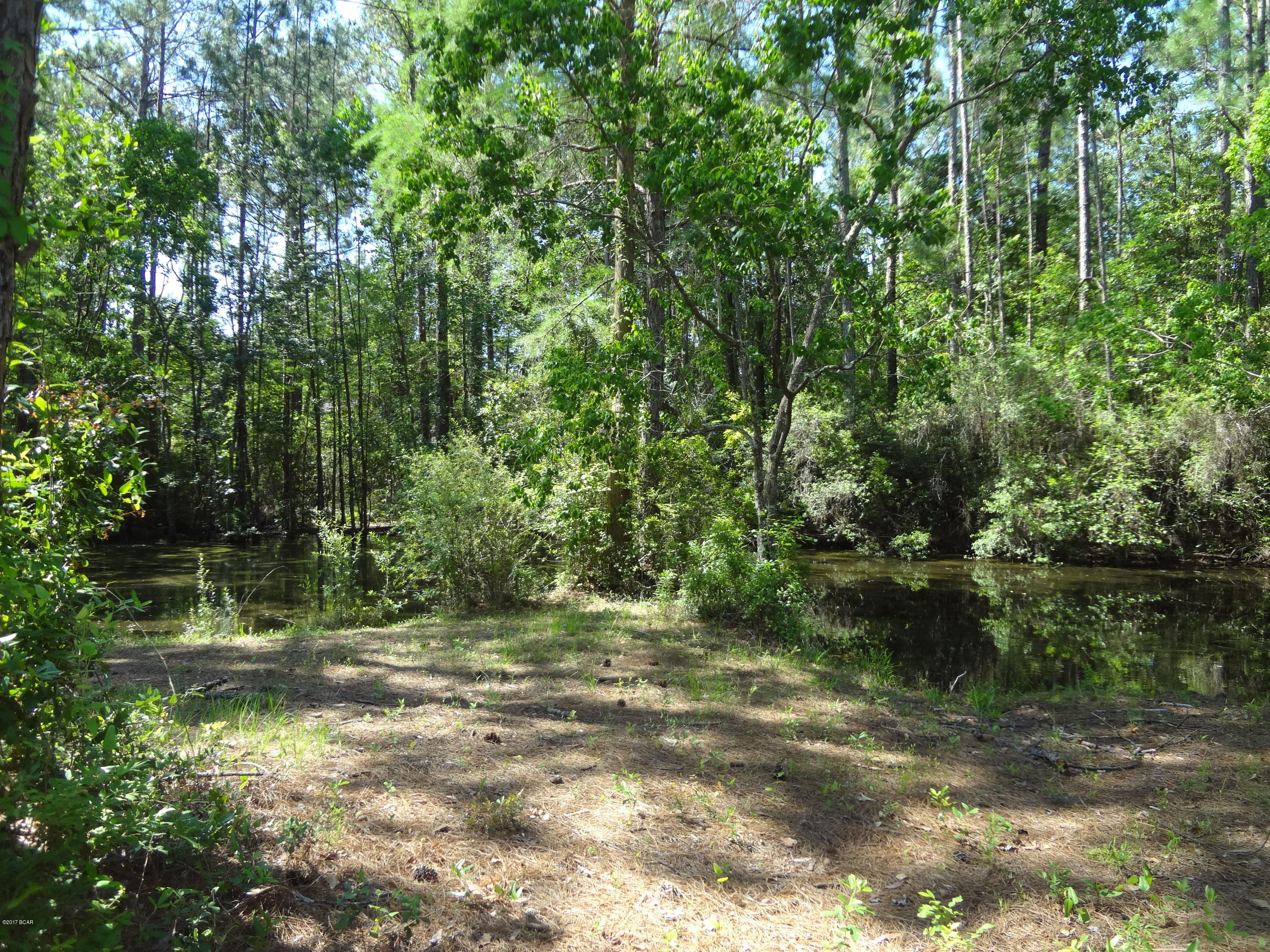 College Point Est 1st Sec - Residential