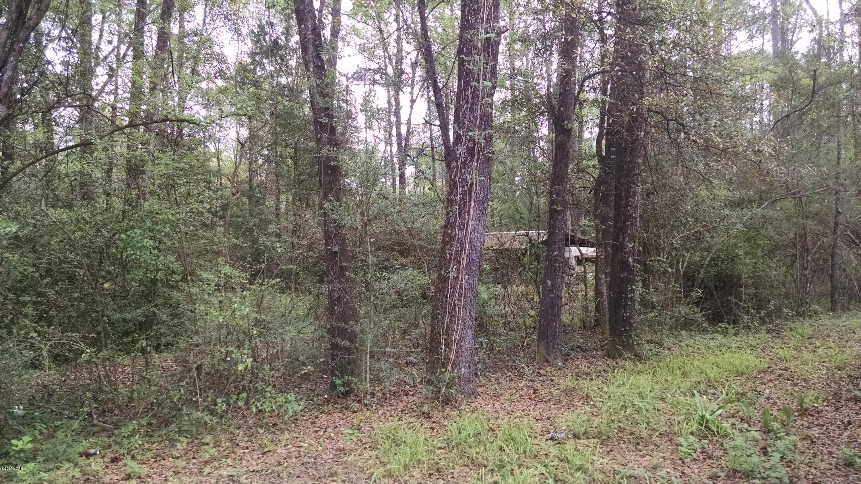 Caryville Campsites - Residential