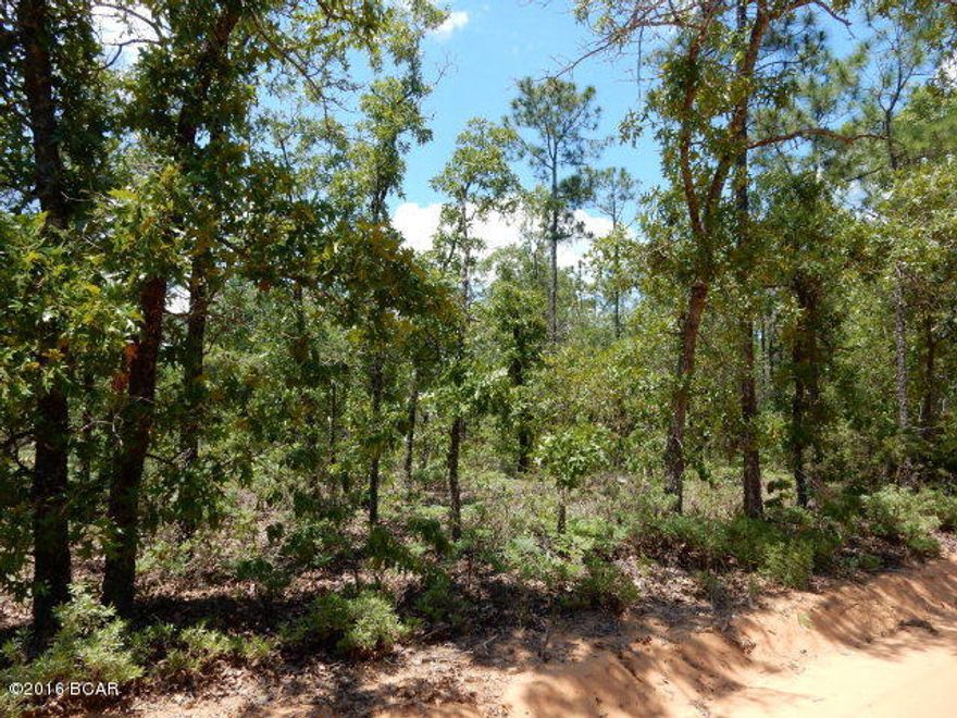 ***OWNER FINANCING AVAILABLE*** NICE TRACT OF LAND LOCATED IN EASTERN WASHINGTON COUNTY THAT WOULD MAKE A GREAT HOMESITE OR INVESTMENT PROPERTY. THIS LOT IS PRIMARILY WOODED AND OFFERS MULTIPLE SITES FOR A MOBILE HOME OR NEW CONSTRUCTION.