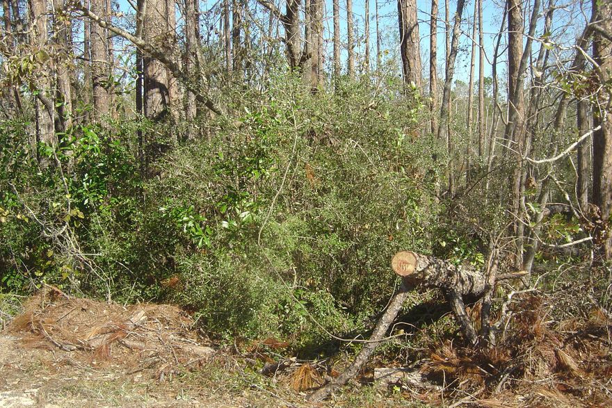 Lot in Compass Lake in the Hills with all the amenities of CLH including community pool and access to two beautiful lakes (Compass and McCormick), no gasoline engines on McCormick.  Price reduced to 1500 if closed by December 31, 2018.