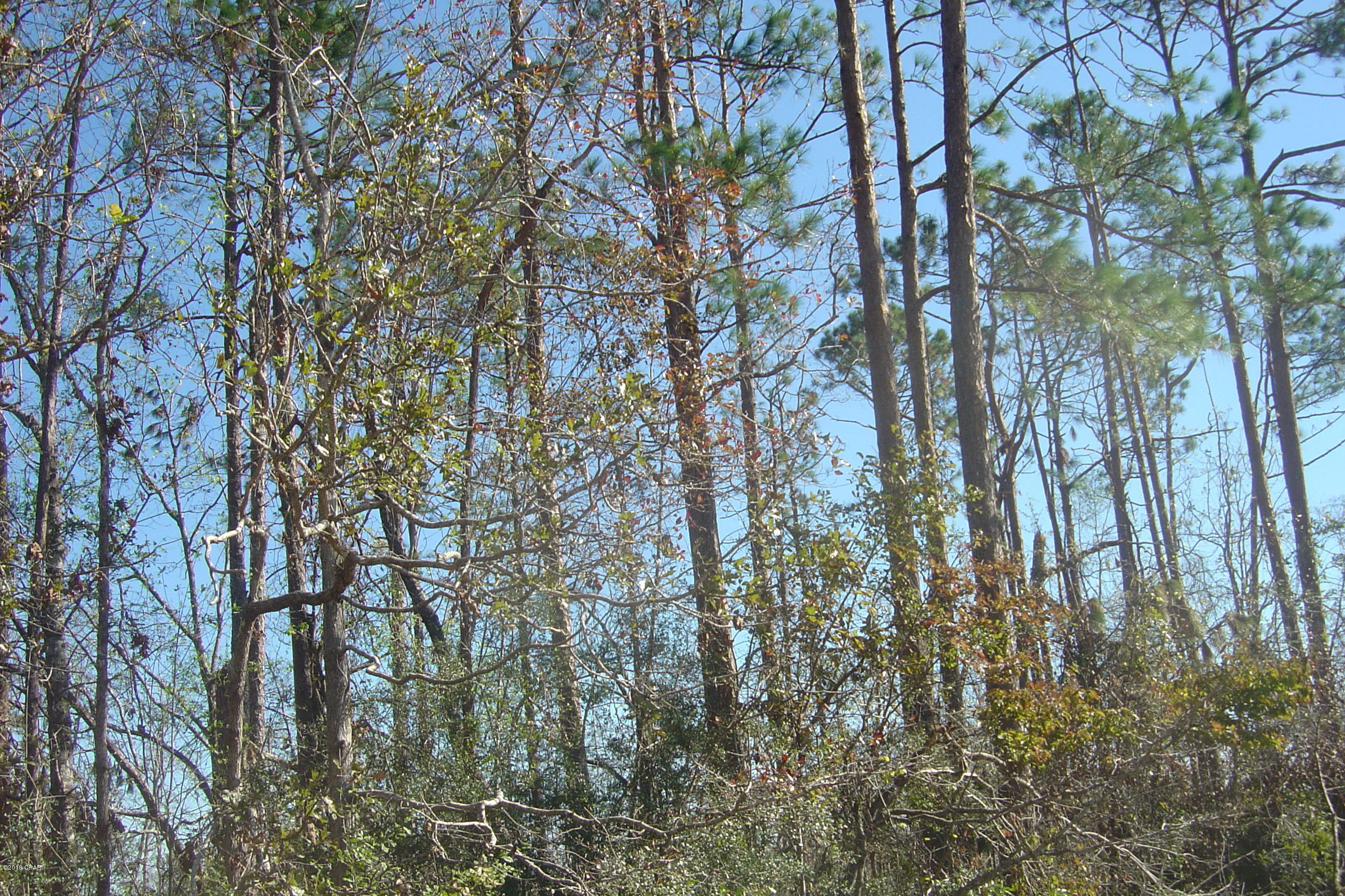 Compass Lake Hills Unit 3 - Land