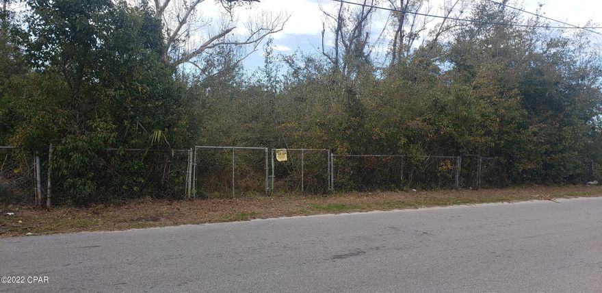 Large Residential Building Lot that will allow mobile homes. The mobile home must have a porch that faces Helen Ave. The setbacks are 25' from the front, 10' from each side, and 65' from the back due to the Railroad Track. It is partially fenced but condition is unknown due to overgrowth. Go Show