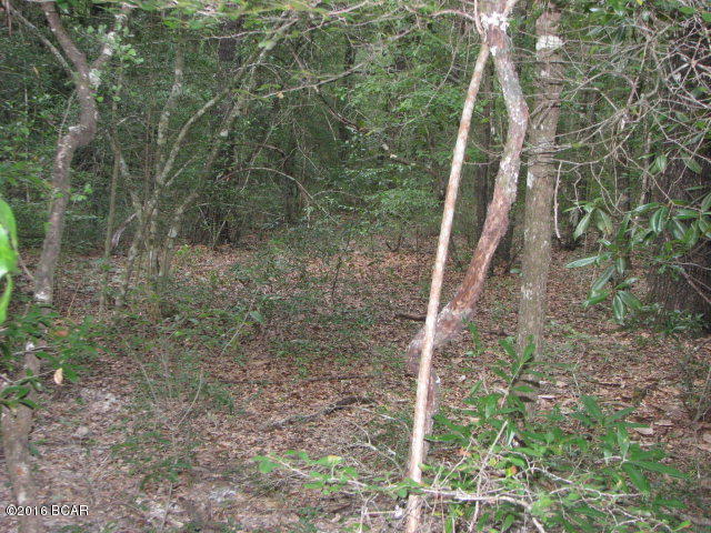 Compass Lake In The Hills - Land