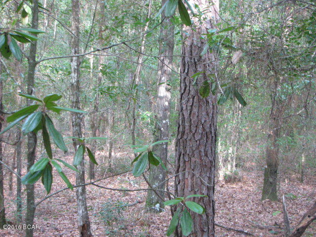 Compass Lake In The Hills - Land