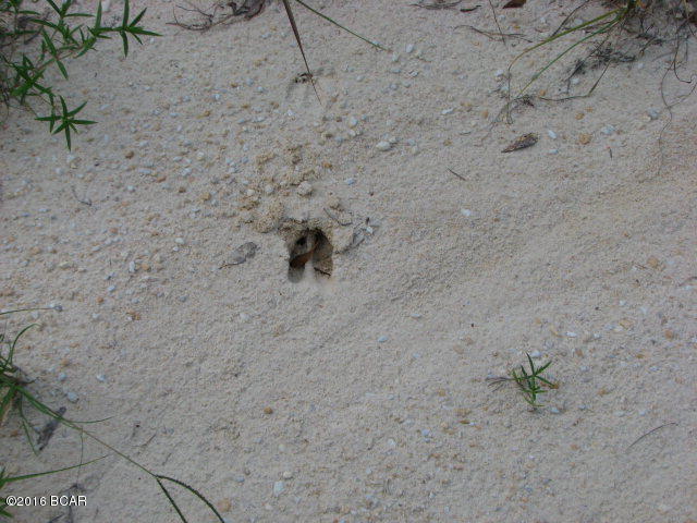 Compass Lake In The Hills - Land