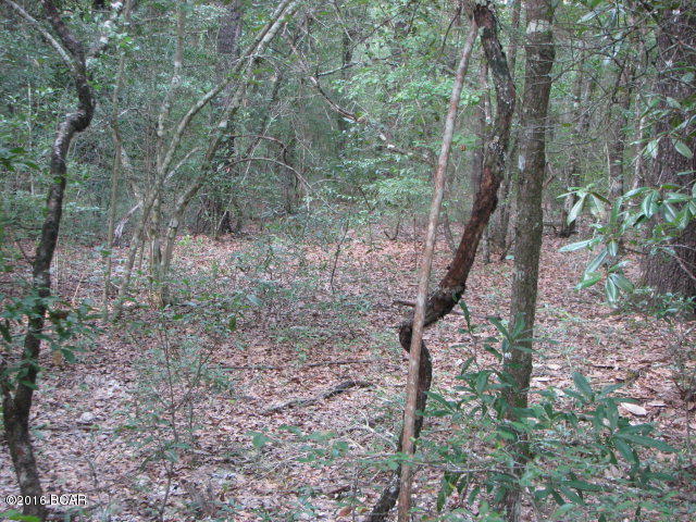 Compass Lake In The Hills - Land