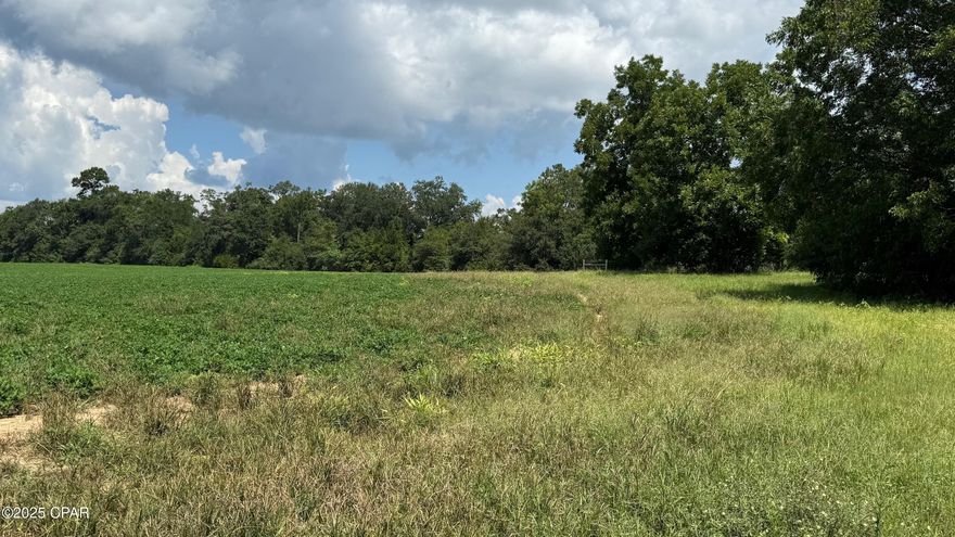 This 35 acres is located only about 5 minutes from downtown Marianna. The property is currently in peanuts. This would make a great homesite & mini ranch. Paved road frontage on SR 73.