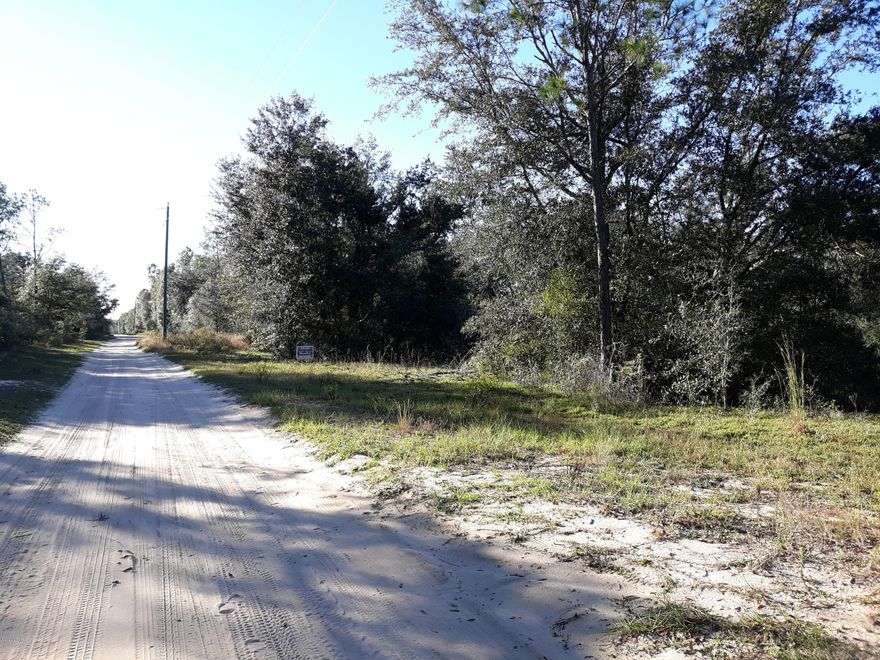 Very nice oaks and other trees on land. Has some cleared spots on land and a single wide trailer that could be fixed up. It also has septic and well. Mobile home hasn't been lived in since 2018 and needs new sub flooring. Well does not currently work. Has storage shed on property.