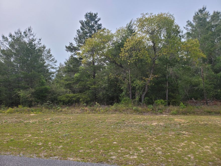 Beautiful corner lot in Sunny Hills. Lot is mostly wooded. Perfect for your new home. Not far from Boat Lake for seasonal swimming (annual passes available) and several spots for fishing. Sunny Hills is restricted for site built homes only. No mobiles. Approx. 40 miles from Panama City Beaches to the south and approx. 20 miles from Chipley. Drive by and check out this nice lot.