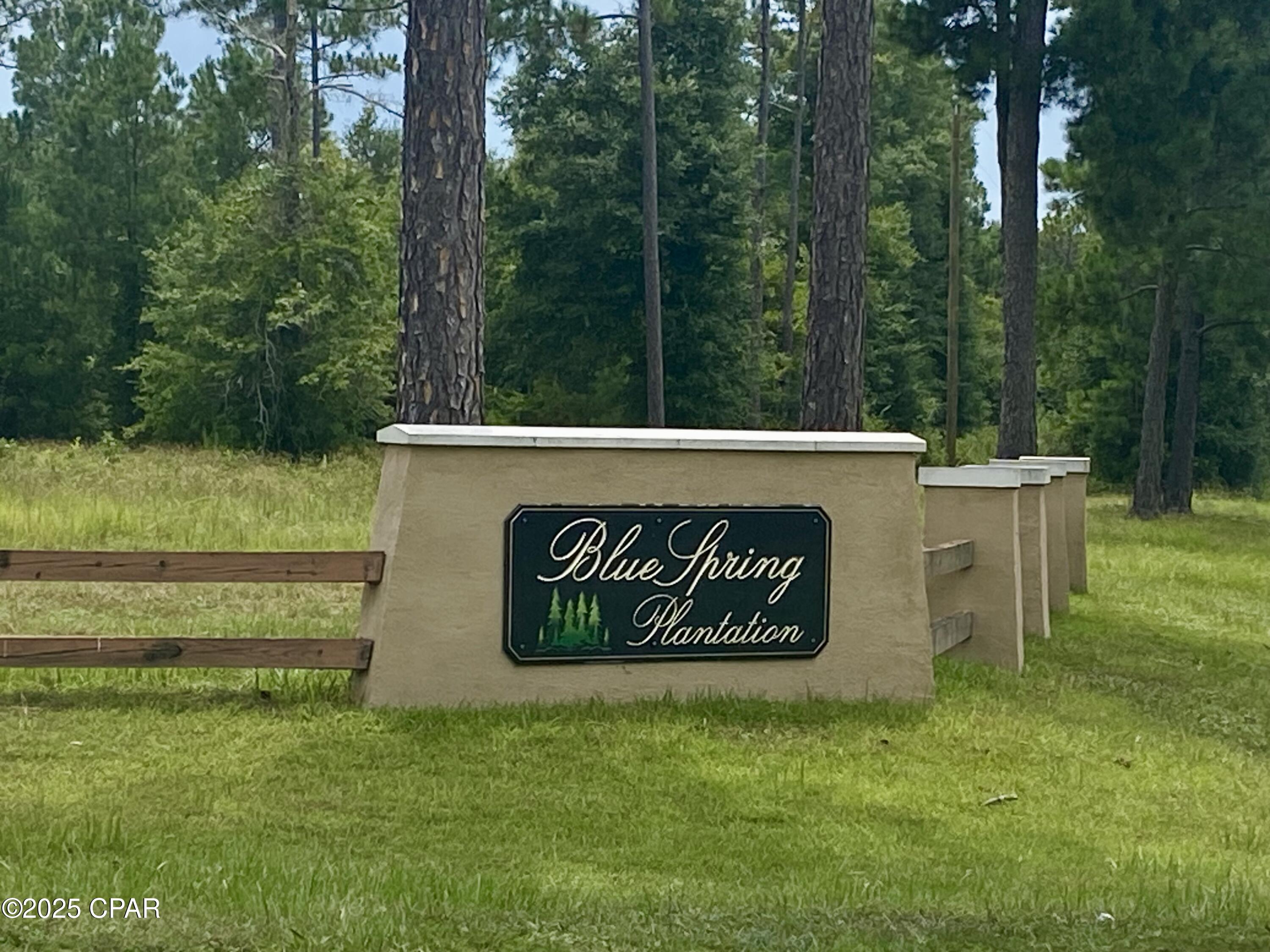 Blue Springs Plantation - Land