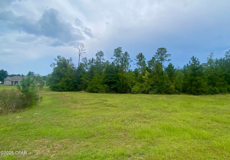 Looking for a place to build your dream home?  Check out this 2.2 acre lot in Blue Spring Plantation.  The lot backs up to a 50' greenbelt buffer that adds more privacy.  This subdivision has paved roads and underground utilities.   If you enjoy fishing or swimming, this lot is located close to Blue Springs Recreational area, Merritts Mill Pond, Lake Seminole and the Chipola River.  Come build your dream home and enjoy the quiet, peaceful lifestyle Marianna offers.