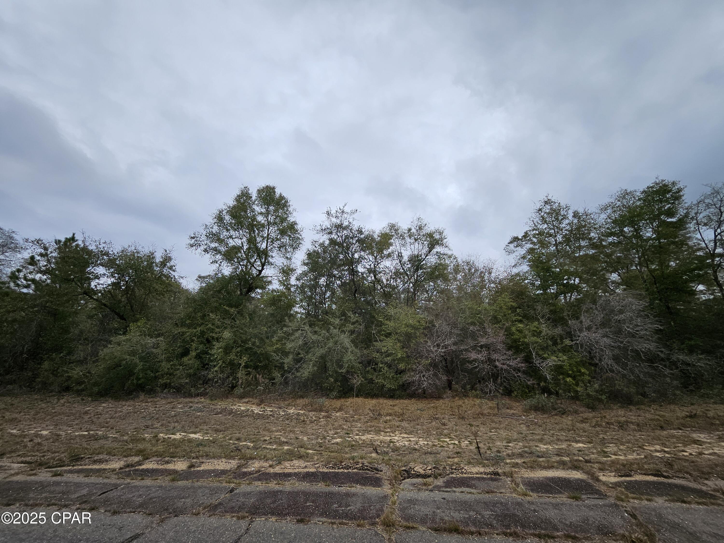 Sunny Hills Unit 8 - Land