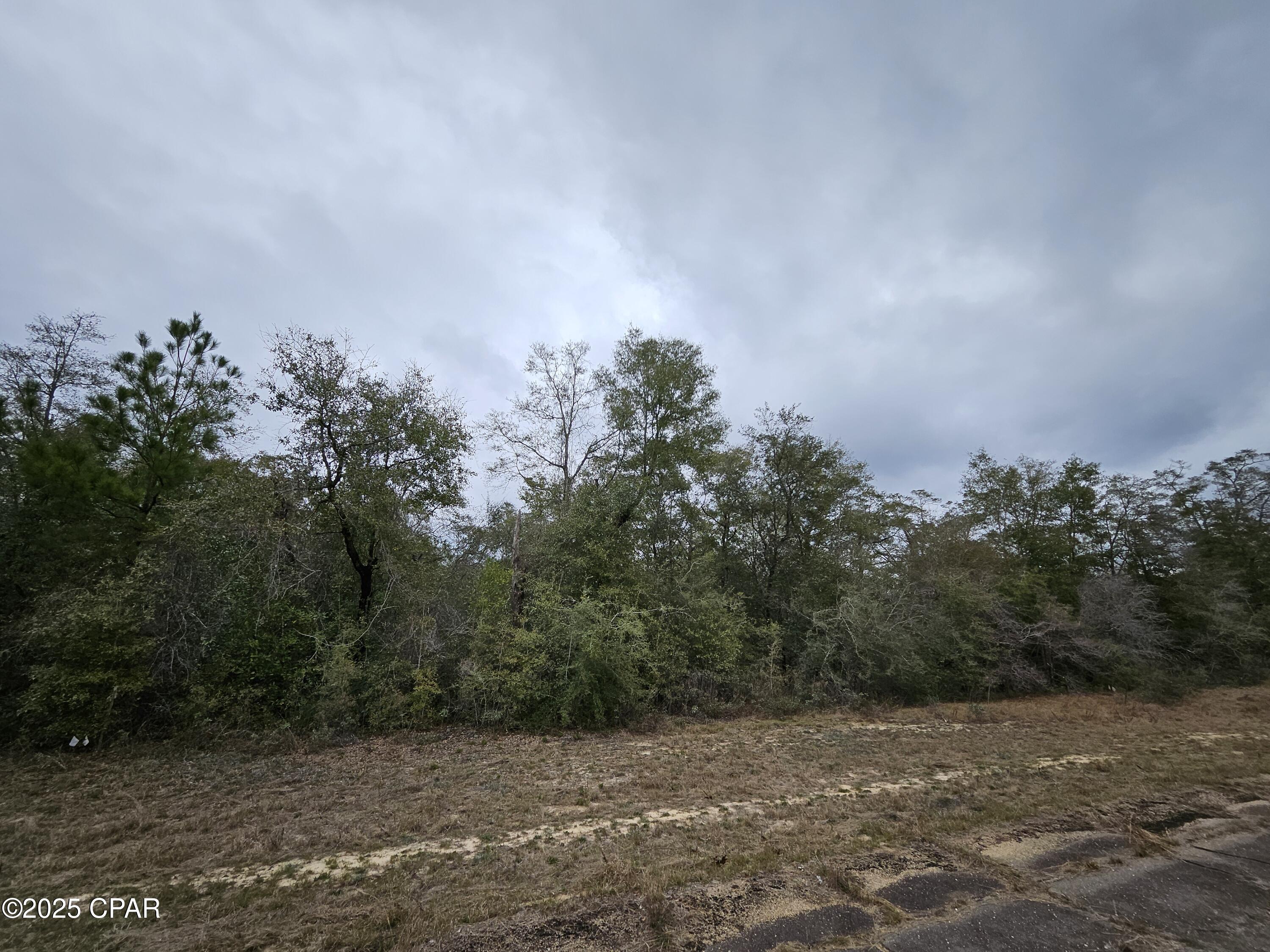 Sunny Hills Unit 8 - Land