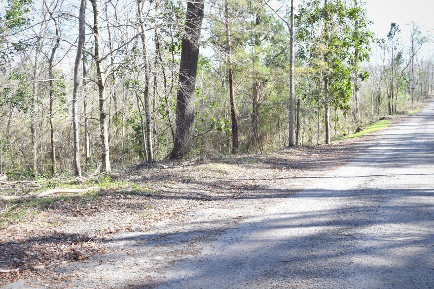 Location, Location, Location! Secluded off Falling Waters Rd this corner lot is ready for your dream house, mobile home or investment property. With over 10 acres of mixed oaks, enjoy the benefits of the country living only minutes from town.