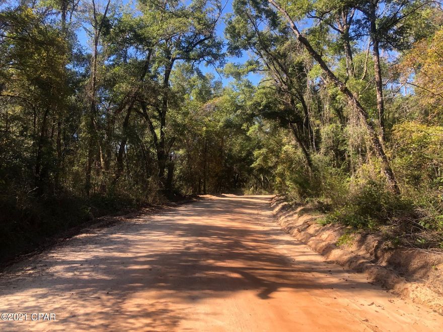 Enjoy country living on 5 acres of land in Washington County and bask in the peace and privacy. This lot is located on a peaceful street and offers plenty of space to build your dream home with an outdoor oasis! The Choctaw River is just at the end of this road and is a great spot to make lasting memories. Jenkins Landing features a boat ramp and a pavilion area with picnic tables, perfect for hosting family and friends by the river! Check out this beautiful lot today!