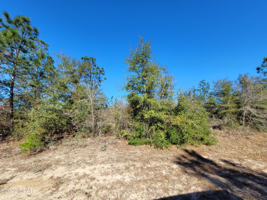 Very nice, large building lot in Sunny Hills. This is a double lot 1.10 acres +/-. Property has been surveyed. Mostly wooded and near the cul-de-sac. Privacy as there are no neighbors at this time. Several fishing lakes in the area. Boat Lake for paid seasonal swimming. Approx. 45 minutes to Panama City Beaches, 20 minutes to Chipley for local shopping. Sunny Hills is a deed restricted subdivision. No mobiles. Buyers to verify any/all information with concerning property usage with Washington County Planning and Zoning 850-415-5093