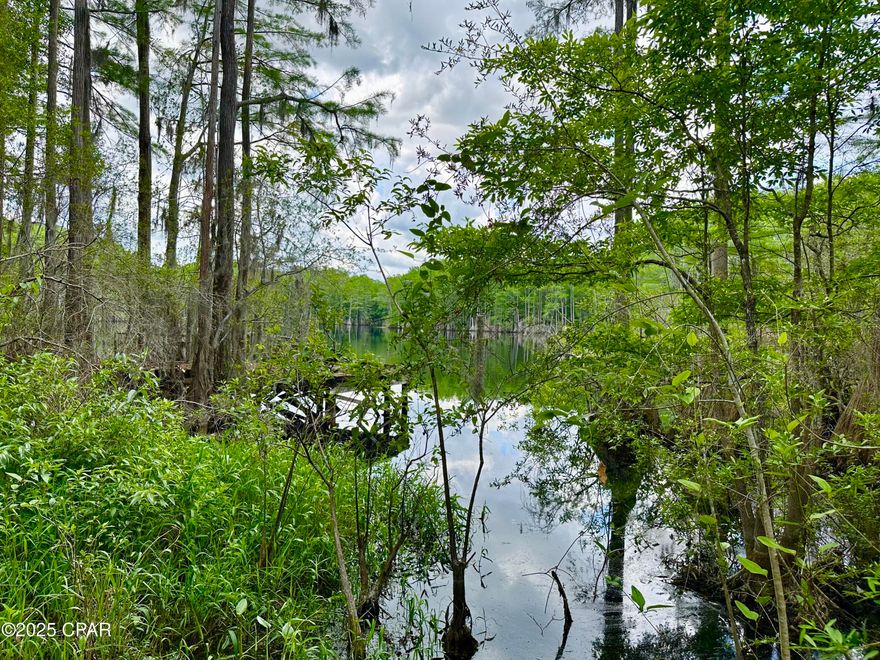This stunning 1.528 acre lakefront lot offers a rare opportunity to own a piece of fisherman's paradise. Situated along McDaniel Lake, a serene chain lake teeming with wildlife (especially Large Mouth Bass and Channel Catfish). The property boasts breathtaking views, and is surrounded by lush hardwoods and cypress trees, creating a private natural sanctuary. The lot was professionally cleared of all underbrush on March 7th, so it is ready for anything!

This lot is fenced, and features easy access via paved Moss Hill road. There is already at least one power pole on the property, as well as a well and septic system (functionality unknown). There is a very old dock that needs a lot of work (the pilings look to be pressure treated and in workable condition), and large fixer-upper shed that seems to be wired for plumbing and electric.

Whether you're looking to build your dream home, a fishing retreat, or simply seeking a quiet escape in nature, this property has the potential to have it all. Conveniently located close to retail and restaurants in Vernon or Chipley, and just a short drive to the tranquil white sandy beaches and emerald waters of Panama City Beach!