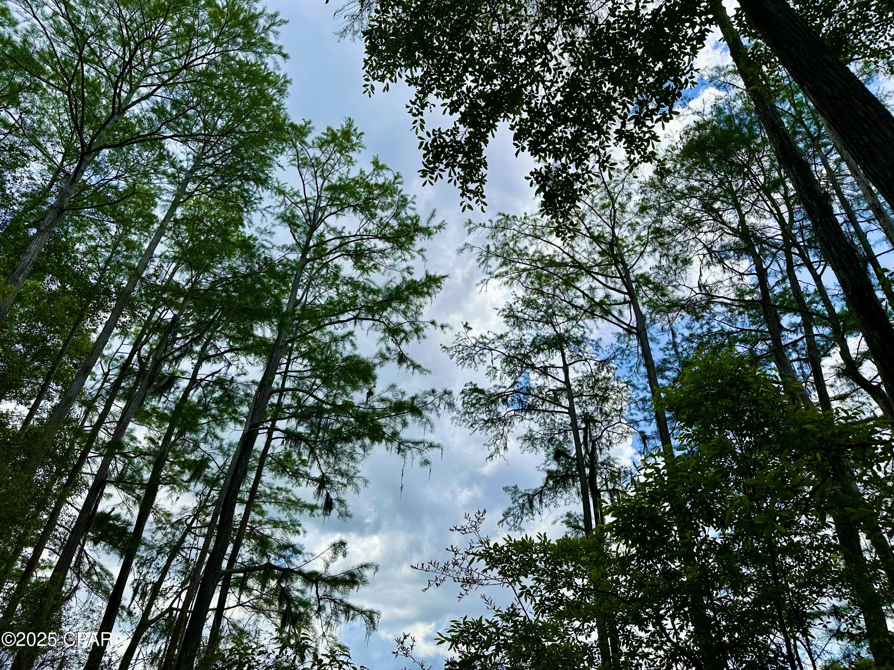 [No Recorded Subdiv] - Land