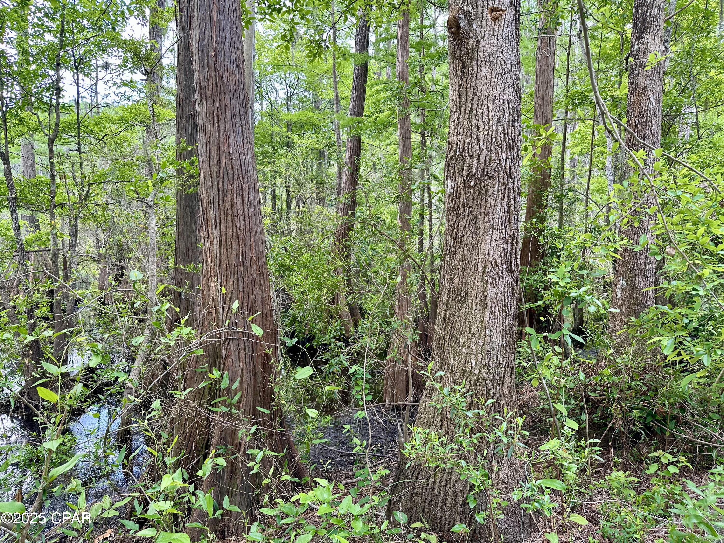 [No Recorded Subdiv] - Land