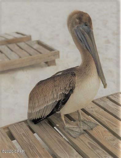 Laguna Beach - Residential