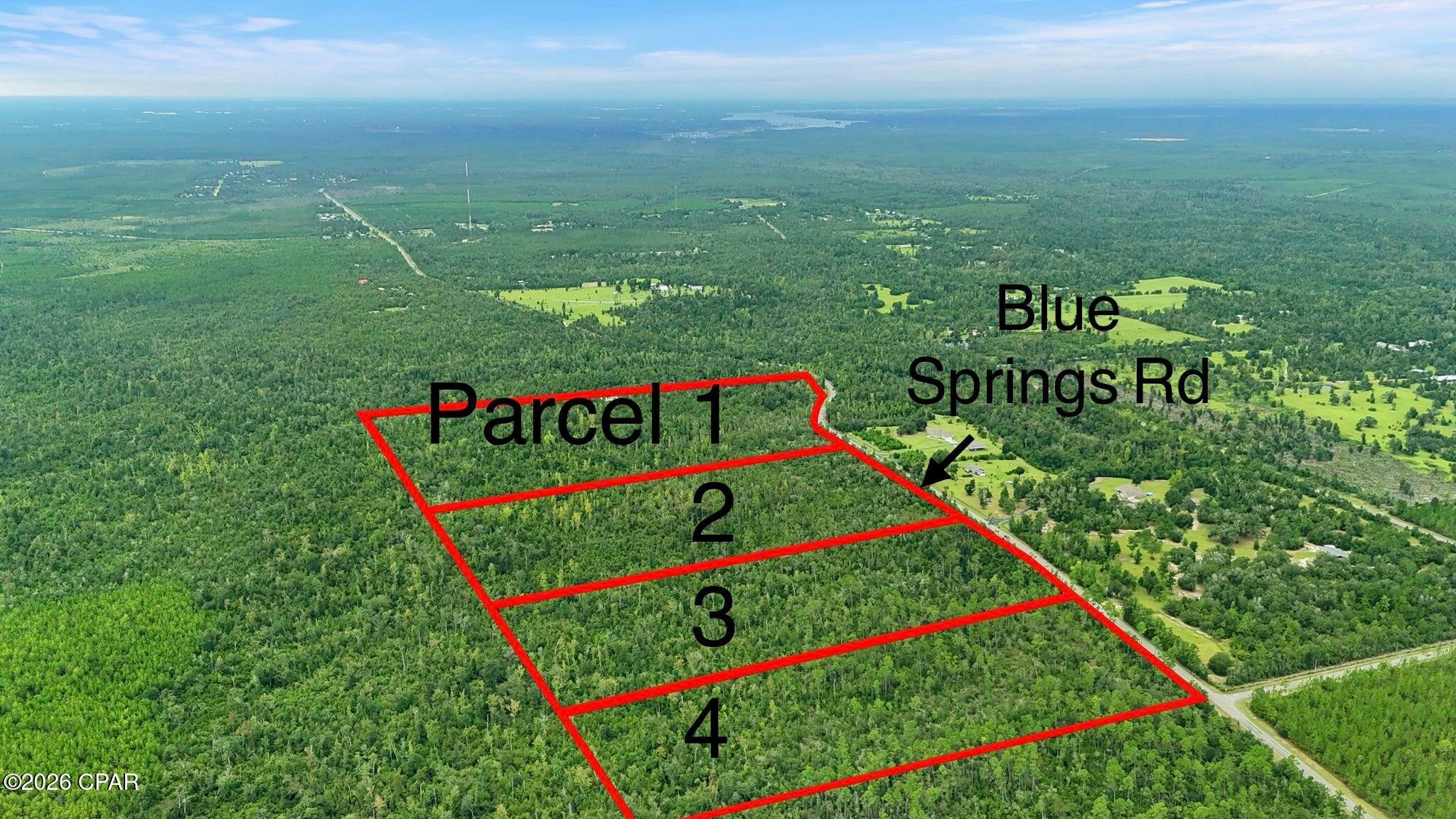 000 Blue Springs Road Parcel 1