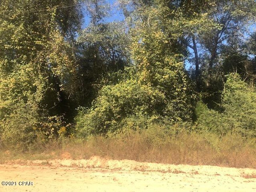 COUNTRY LIVING WITH ACREAGE!!! This high and dry 5 acre parcel would be the perfect place for your future homesite.  It is located just 30 minutes north of the World's Most Beautiful Beaches and is ready for your new home.