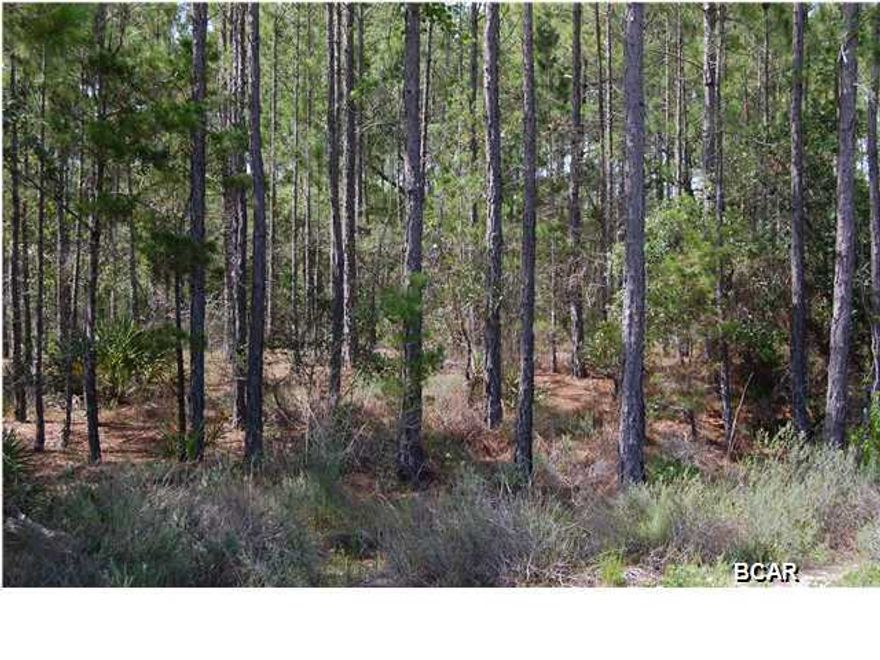 Lowest priced lot in Wild Heron! 1/3 of an acre on a quiet street. Enjoy building your dream house or vacation 2nd home in the exclusive 734 Acre Wild Heron golf course community. Bordering Lake Powell, this quiet, serene community boasts some of the nicest amenities found along the Emerald Coast. Enjoy tennis, golf, community pool, fitness center, boathouse, large lakeside fire pit, and lakeside pavilion area complete with fireplace and grilling areas. And very close to some of the best dining, shopping and beaches around.