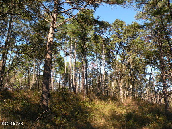 Compass Lake Hills Unit 5 - Land