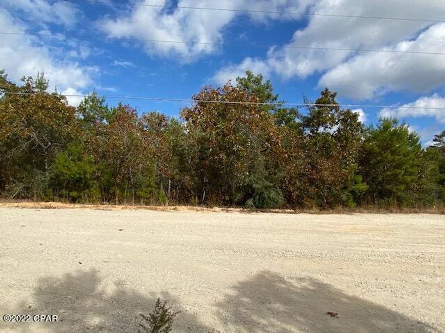 This .232 acre property is perfect for a home or trailer.  The owners have 7 other properties listed and will accept $110,800 for all 8 properties which would be great as an investment opportunity.  The other 7 properties are MLS #733948, #733949, #733950, #733951, #733952, #733953, #733954