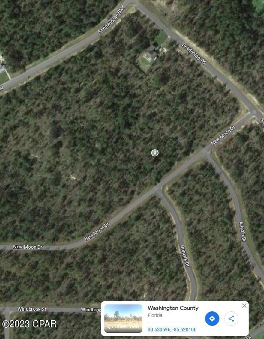 Seller has 2 adjacent lots to sell...with power lines at the end of the street on Shenandoah Blvd. This one is lot 13. These oversized lots are .348 acre each and are priced at $6,000 each...see additional lot (lot 12), listed and priced separately. Nice building lots for single-family homes in the quickly growing subdivision of Sunny Hills!! Just a short distance to the Boat Lake Swimming Park!! ...what are you waiting for...Sunny Hills boasts the magnificent Sunny Hills Golf and Country Club!! No time frame to build in...homes only subdivision, no mobile homes...no HOA!! Come build your dream home now!! Don't miss out, call today!!! This seller wants to sell both lots together please for a total of $12,000.