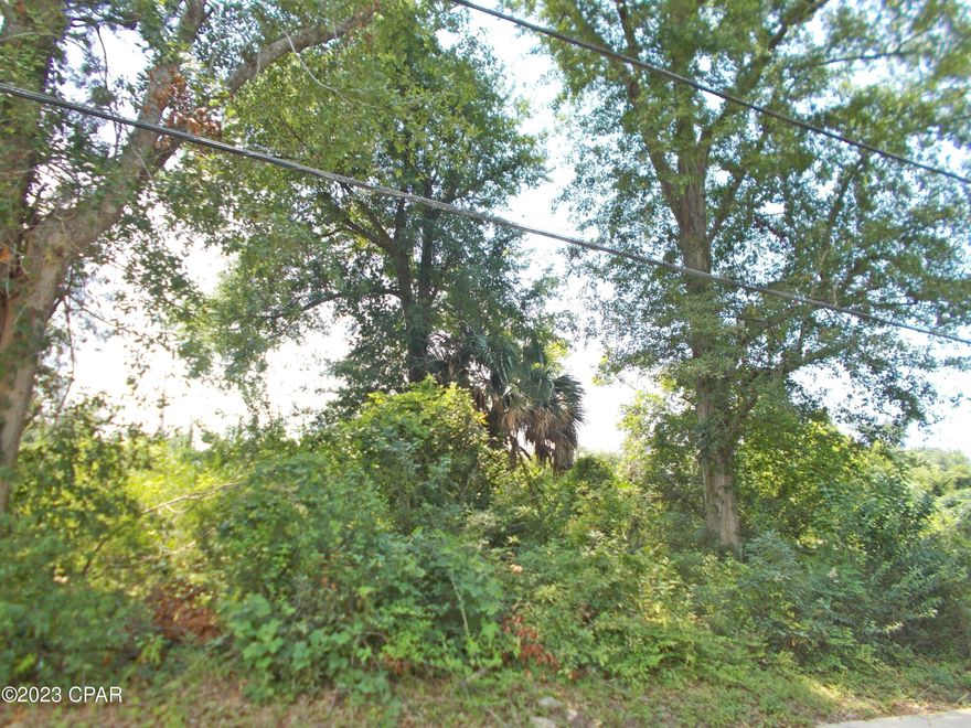 Corner lot just blocks from downtown, very good investment property or build your home and be minutes from grocery stores doctors and all of downtown Marianna.   There is 3 parcel numbers and 3 legals with this sale that makes up 1.5 ac MOL