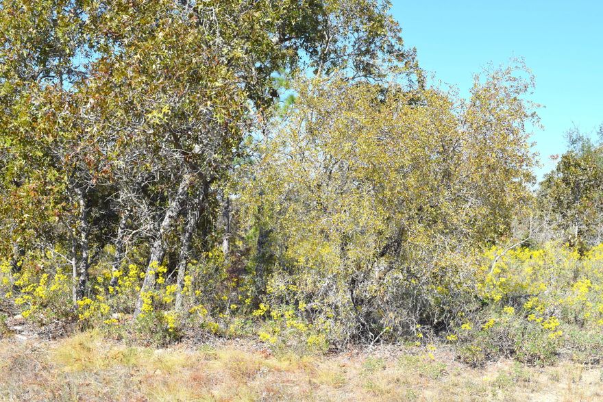 Nice building lot in Sunny Hills. Lot is mostly wooded. Sunny Hills is a deed restricted subdivision for homes only, no mobile homes. Not far from golf course, Boat Lake and fishing.  Approx 30 miles from Panama City Beach, Pier Park shopping and NW Florida Beaches International Airport. Seller also owns 7 other lots in Sunny Hills and will sell all 8 for $20,000.