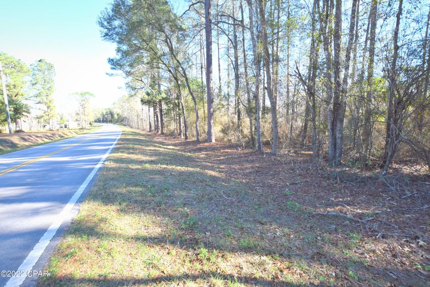 Looking for the perfect homesite? Situated off a paved road this 1.5-acre, wooded lot is ready for your dream home. Property is conveniently located close to Hwy 79 and Interstate 10.