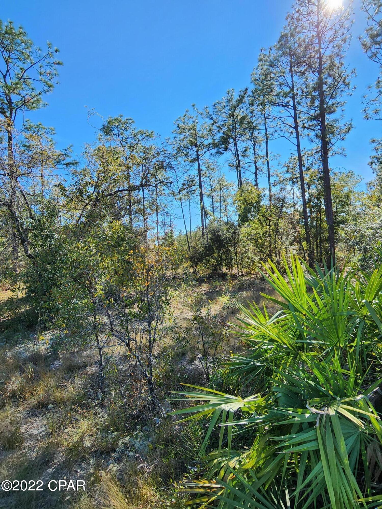 Leisure Lakes 1st Add - Land